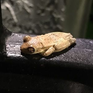 Meet your Posher, Ben